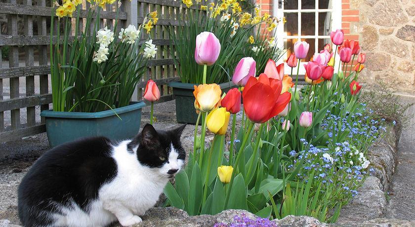 Budleigh Farm Cottages Moretonhampstead Buitenkant foto