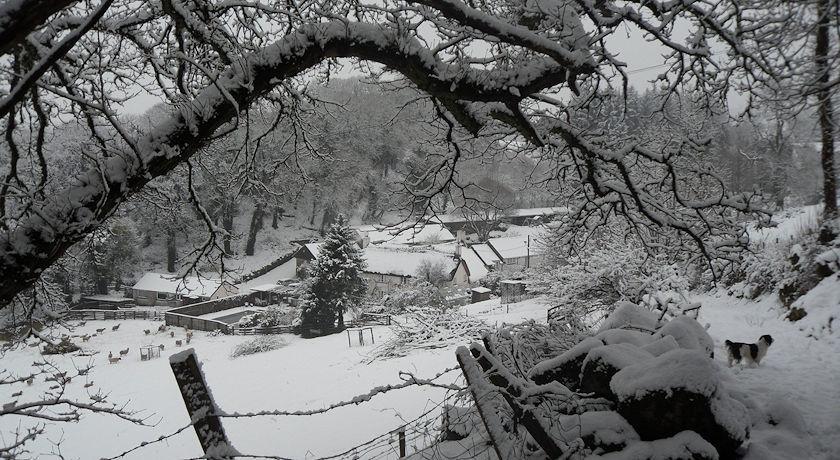 Budleigh Farm Cottages Moretonhampstead Buitenkant foto